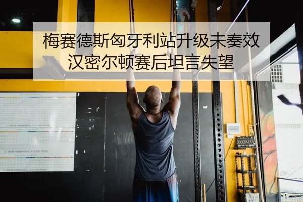 梅赛德斯匈牙利站升级未奏效 汉密尔顿赛后坦言失望