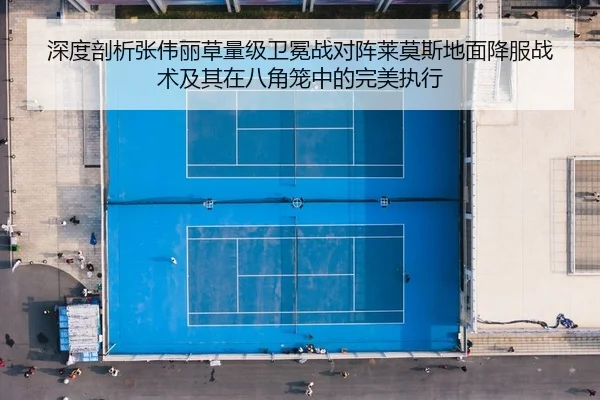 深度剖析张伟丽草量级卫冕战对阵莱莫斯地面降服战术及其在八角笼中的完美执行